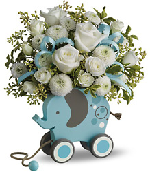 MiGi Baby Elephant by Teleflora - Blue Cottage Florist Lakeland Fl 33813 Premium Flowers lakeland